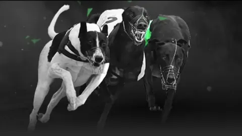 张雨霏100米蝶泳遗憾错失领奖台，未来目标再创佳绩。